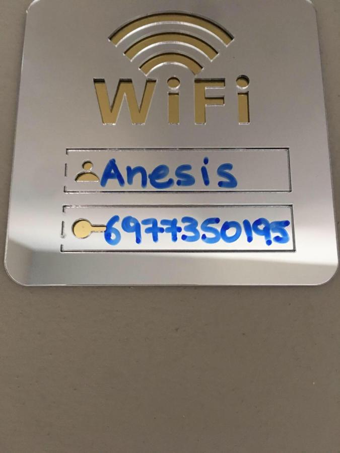 Anesis Airport 204